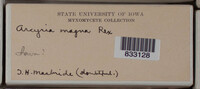 Image Associated With the Occurence
